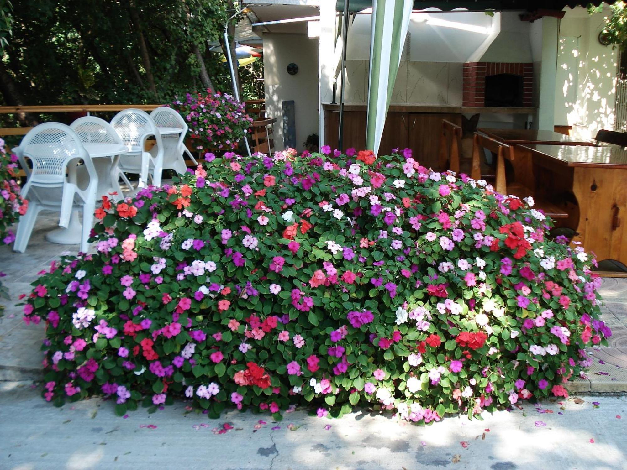 Villa Exotica Balchik Extérieur photo