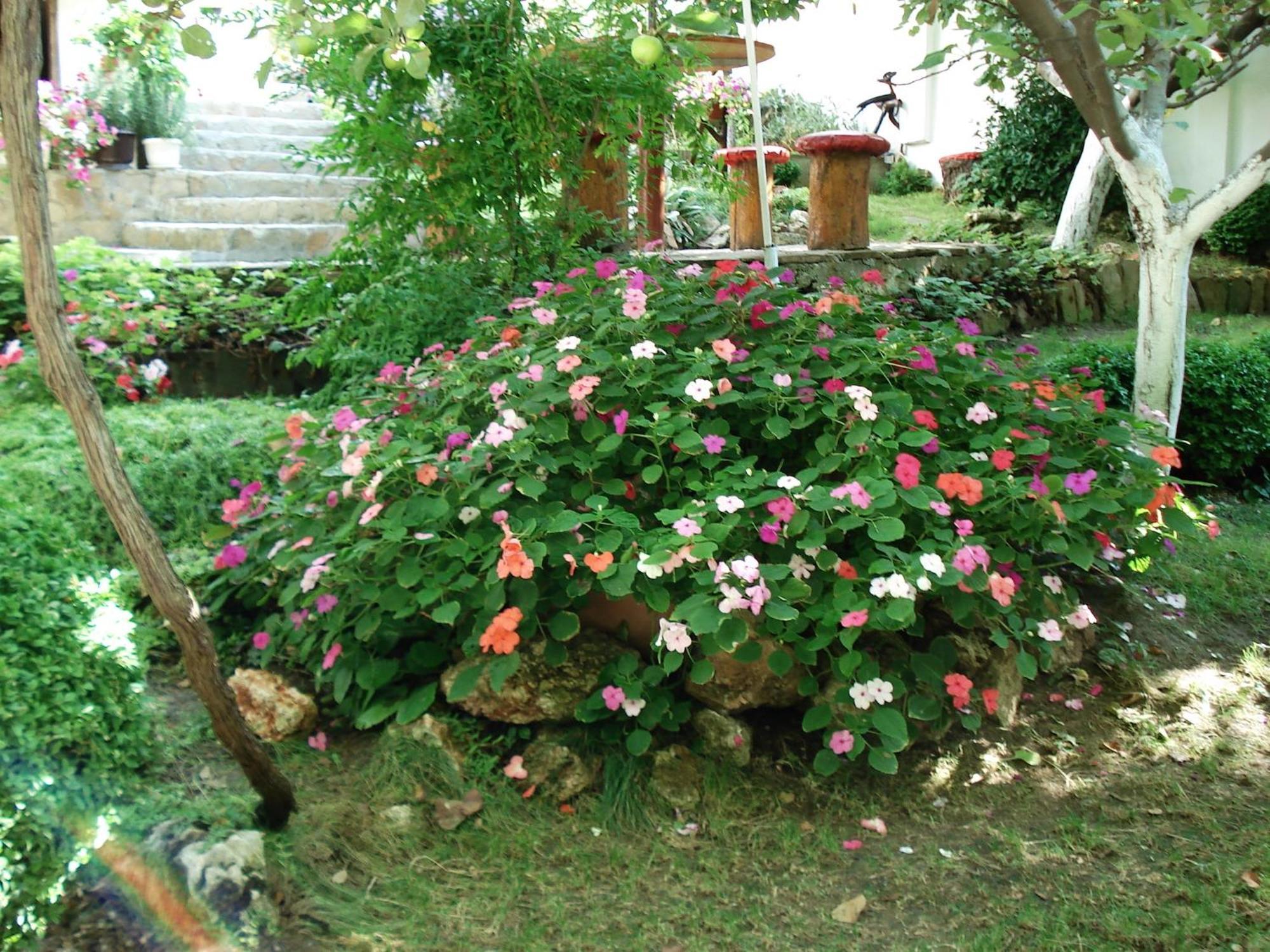 Villa Exotica Balchik Extérieur photo